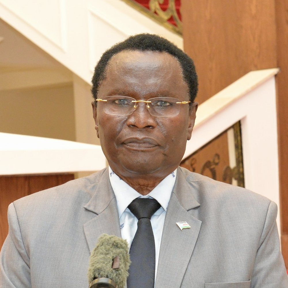 Portrait of Hon. Ambassador James Morgan Pitia, Special Envoy for Great Lakes Region