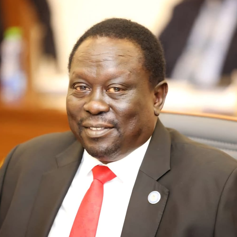 Portrait of H.E. Hussein Abdelbagi Akol, Vice President for Service Cluster