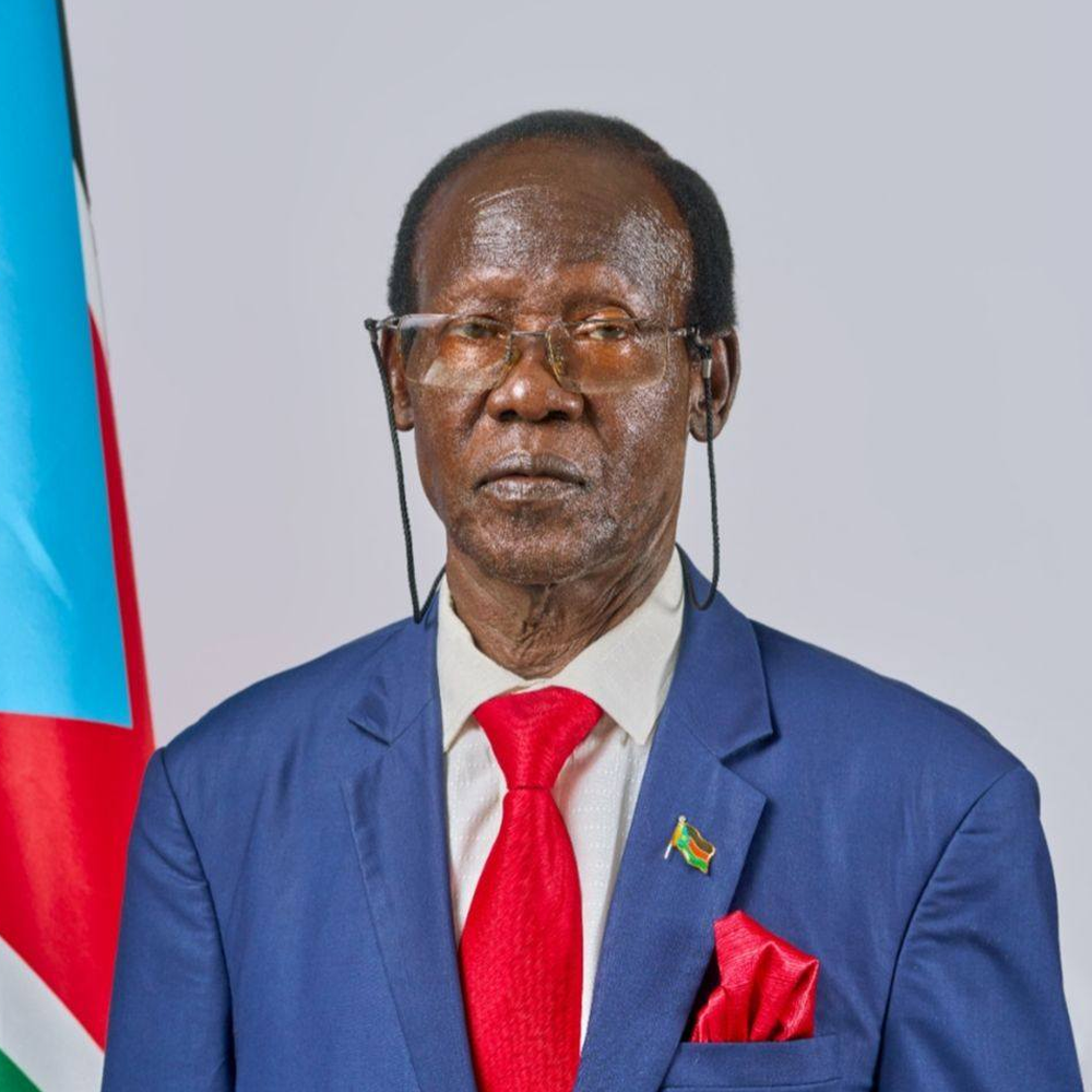 Portrait of H.E. Dr. James Wani Igga, Vice President for Economic Cluster